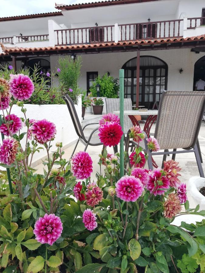 Hotel Paradise Vasilias  Extérieur photo